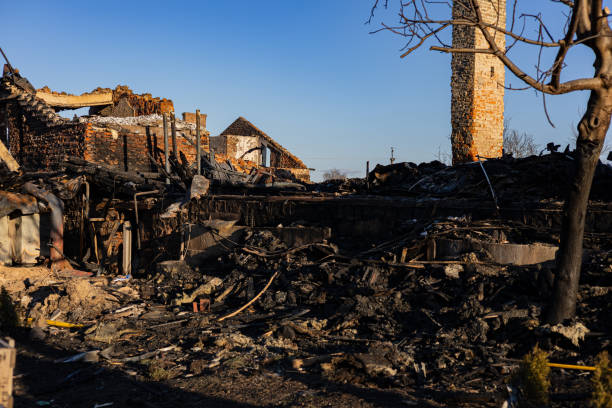 Reliable Fire Damage Removal contractor in Brandon, FL by Fire Damage Flint
